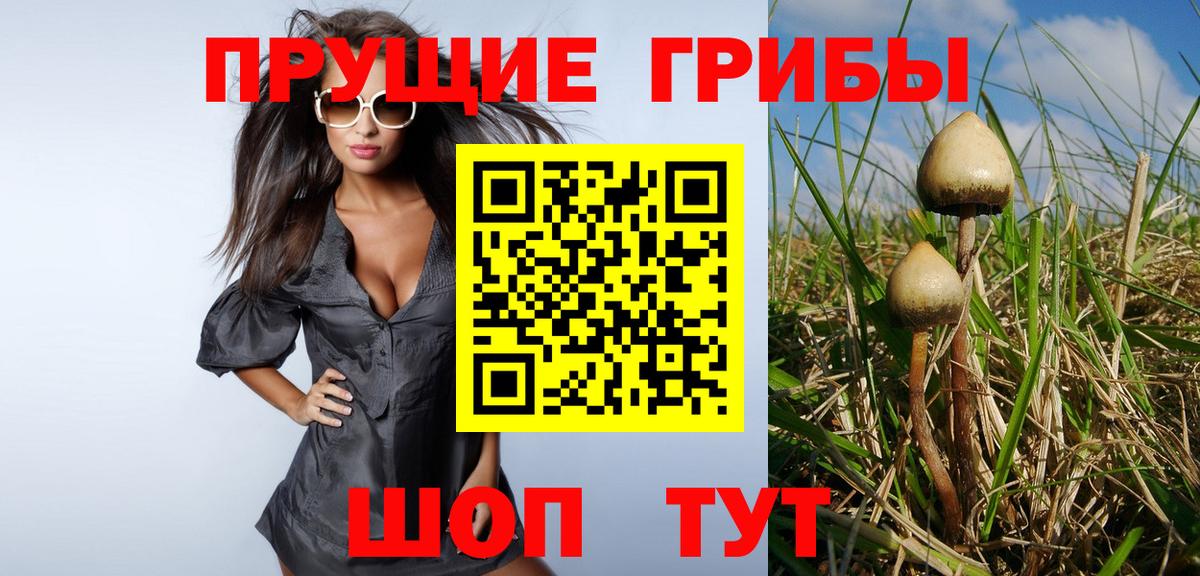 Галлюциногенные грибы Magic Shrooms  Вход с VPN  Шали 